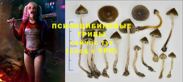 Альфа ПВП Аркадак