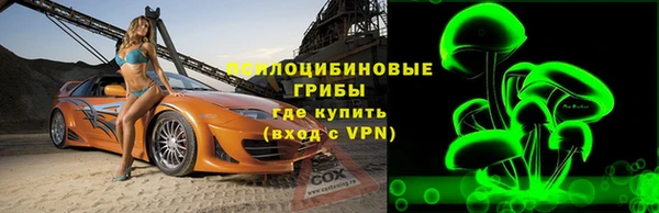Альфа ПВП Аркадак