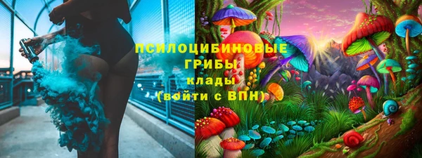 Альфа ПВП Аркадак