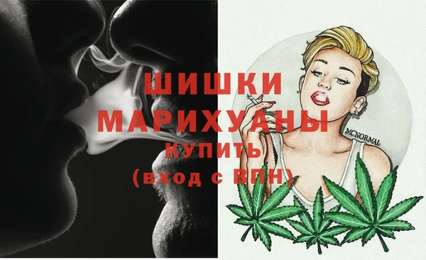 Альфа ПВП Аркадак