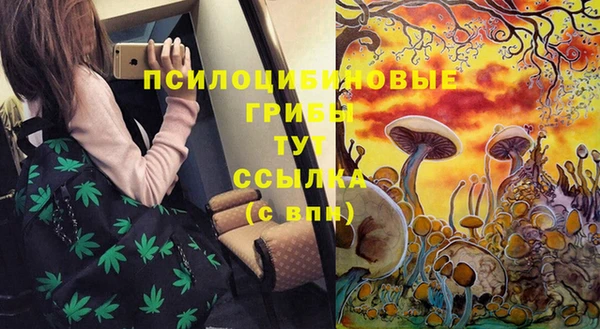 стафф Армянск
