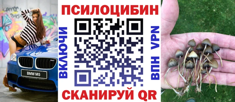 Галлюциногенные грибы MAGIC MUSHROOMS  Нязепетровск 